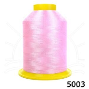 5003
